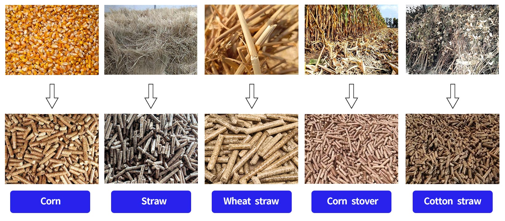 Vertical Ring Die Integrated Pellet Mill