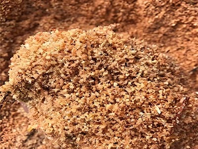 sawdust